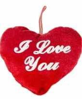 Pluche rood hart kussen i love you 13 cm kado