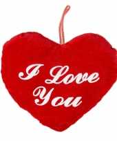 Pluche rood hart kussen i love you 22 cm kado