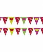 Valentijn 2x gekleurde hartjes vlaggenlijnen van 4 meter per stuk kado