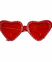 Valentijn rode hartjes zonnebril 14 x 5 cm kado