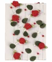 Valentijn rode rozen slinger 2 meter kado