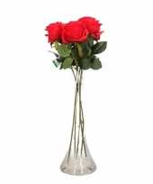 Valentijnskado 5 rode rozen in vaas kado 10101132
