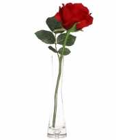 Valentijnskado rode roos 30 cm in smalle vaas kado